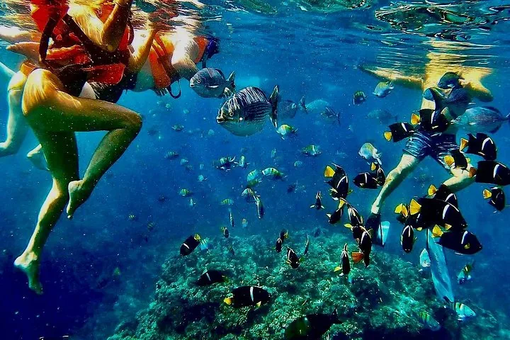 Snorkelaars die zwemmen tussen scholen tropische vissen boven een rif.