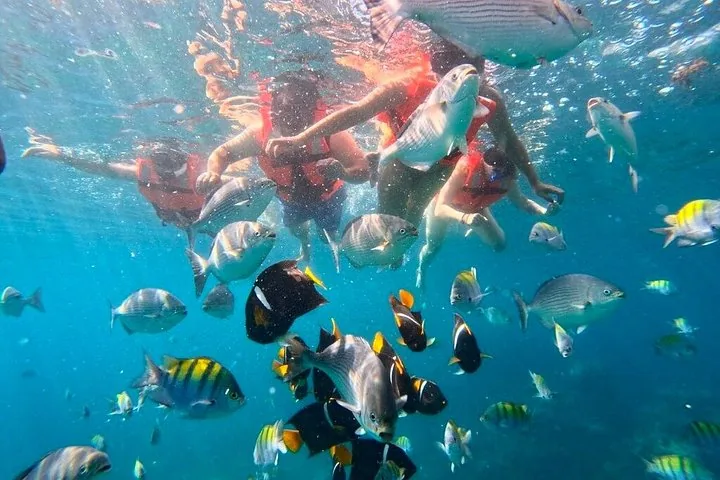 Groep snorkelaars die onder water zwemmen tussen veel tropische vissen.