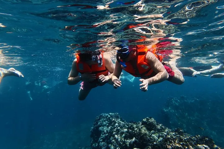 Due persone fanno snorkeling sott'acqua sopra una barriera corallina.
